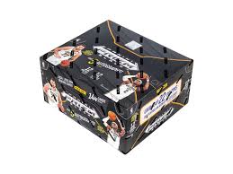 2024-2025 Prizm NBA Black Hobby Box